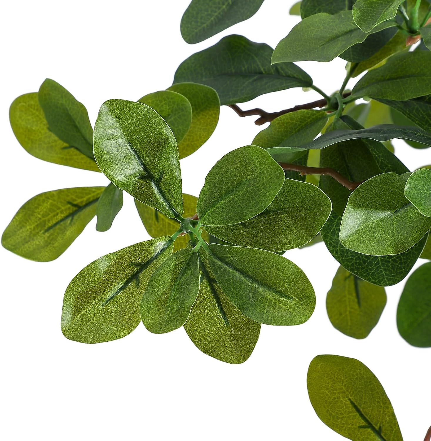 人工観葉植物（室内用）、高さ5～6フィートのフェイクブラック - Baby Nursery Tree のレビューと価格
